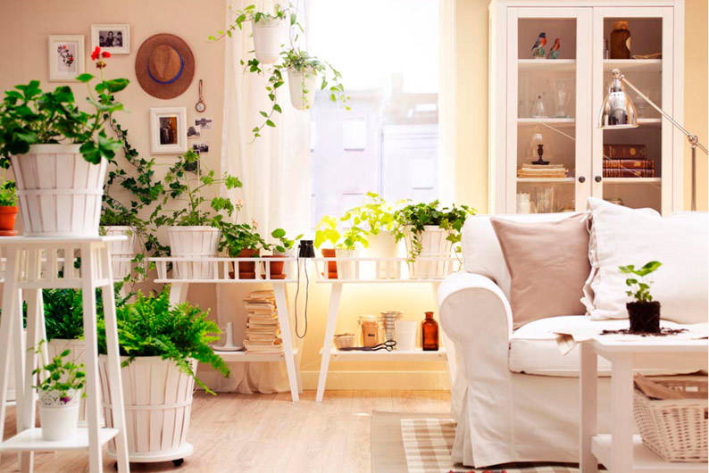 1920x1440-white-potted-living-room-plants
